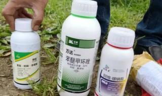 主要农药产地是哪里 农药产地在哪里